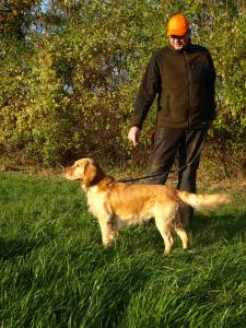 Wchtelhund-Rüde Jaspa vom Zerling