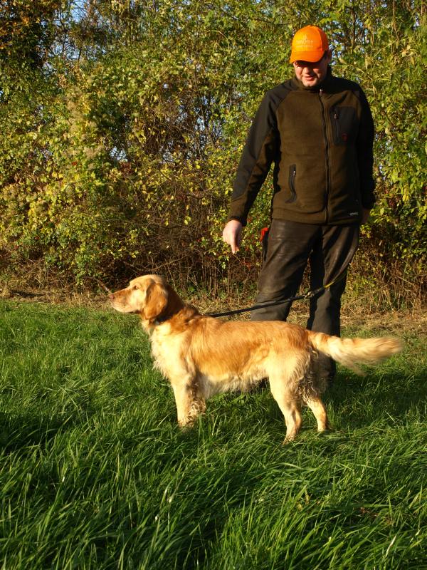 Wchtelhund-Rüde Jaspa vom Zerling