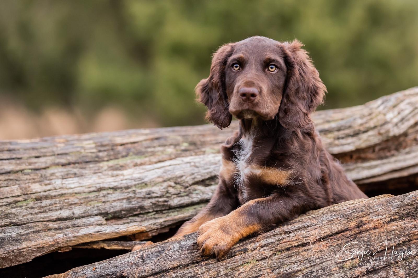 WhatsApp Image 2020-01-29 at 19.58.34